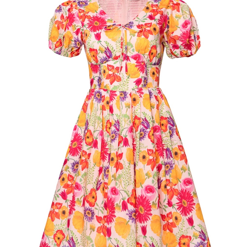 Brand new with tags Fleur dress in multicolor floral Ivy City co.